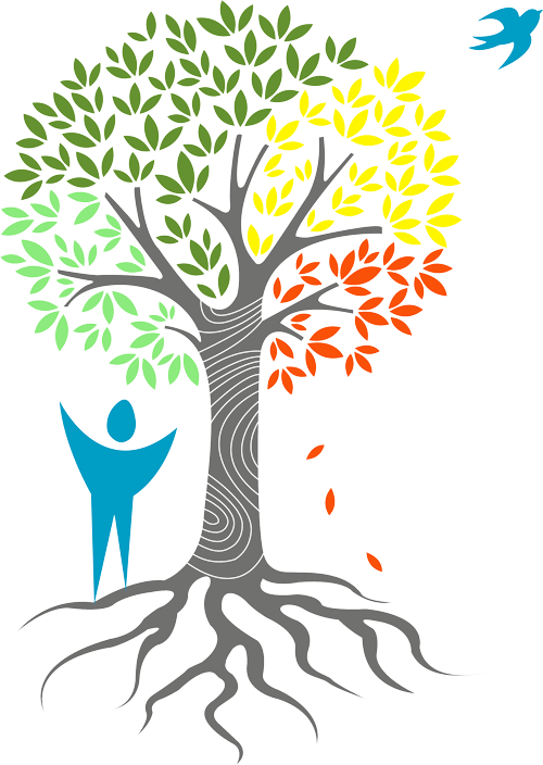 Logo Sylvotherapie un homme se tient debout devant un arbre aux quatre couleurs de la saison